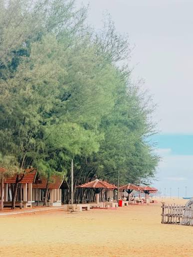 Kalladi Beach - Casuarina Pine Groves & Coastal Sands in Batticaloa
